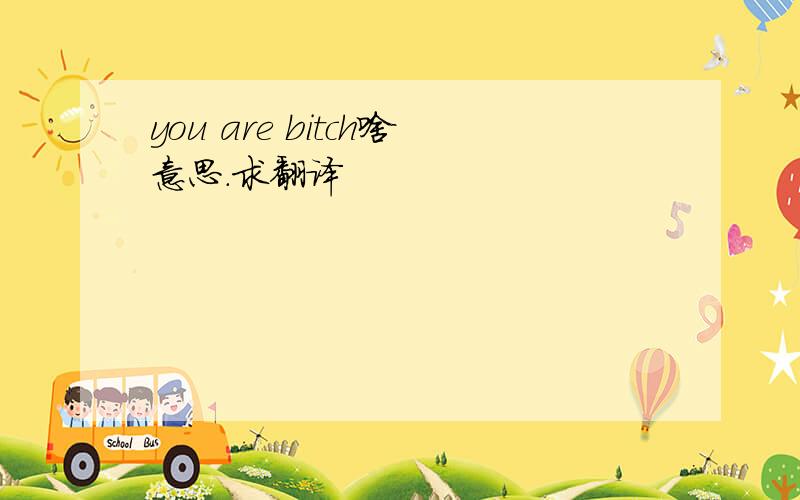 you are bitch啥意思.求翻译