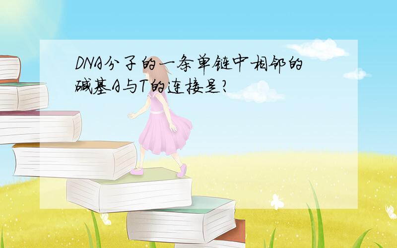 DNA分子的一条单链中相邻的碱基A与T的连接是?