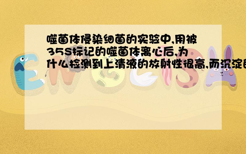 噬菌体侵染细菌的实验中,用被35S标记的噬菌体离心后,为什么检测到上清液的放射性很高,而沉淀的放射...