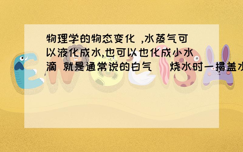 物理学的物态变化 ,水蒸气可以液化成水,也可以也化成小水滴 就是通常说的白气 （烧水时一揭盖水冒出的