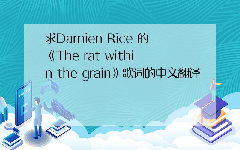 求Damien Rice 的《The rat within the grain》歌词的中文翻译