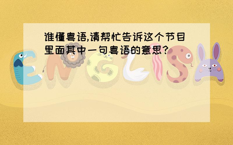 谁懂粤语,请帮忙告诉这个节目里面其中一句粤语的意思?