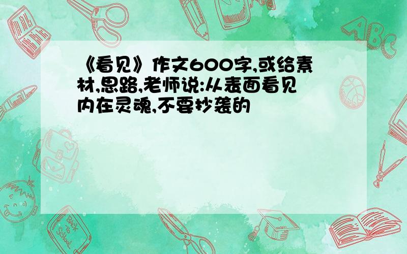 《看见》作文600字,或给素材,思路,老师说:从表面看见内在灵魂,不要抄袭的