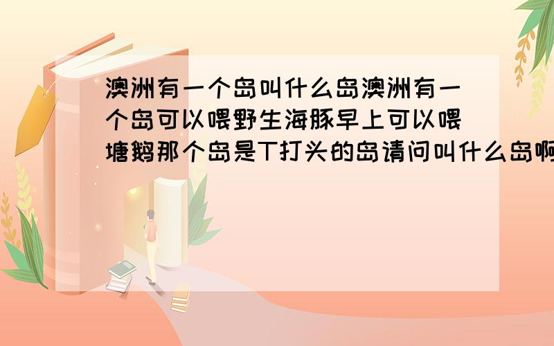 澳洲有一个岛叫什么岛澳洲有一个岛可以喂野生海豚早上可以喂塘鹅那个岛是T打头的岛请问叫什么岛啊?是哪个洲的?（澳大利亚的六