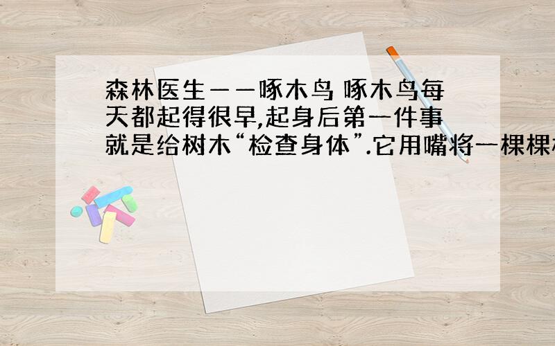 森林医生——啄木鸟 啄木鸟每天都起得很早,起身后第一件事就是给树木“检查身体”.它用嘴将一棵棵树从根到梢笃笃地轻轻敲打一