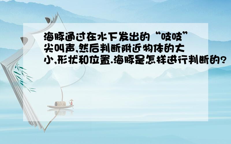 海豚通过在水下发出的“吱吱”尖叫声,然后判断附近物体的大小,形状和位置.海豚是怎样进行判断的?