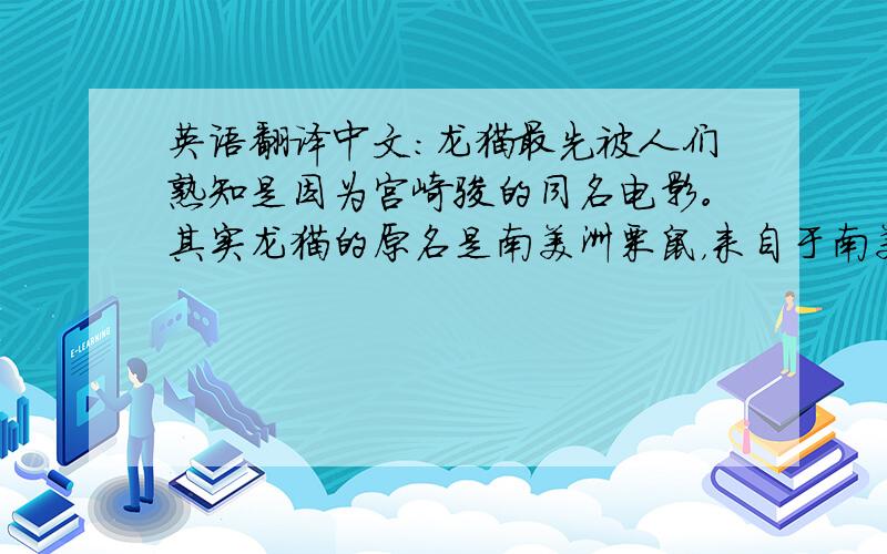英语翻译中文：龙猫最先被人们熟知是因为宫崎骏的同名电影。其实龙猫的原名是南美洲栗鼠，来自于南美洲的安第斯山脉。他们的毛又