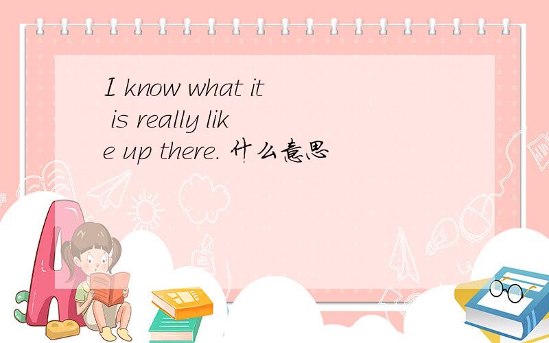 I know what it is really like up there. 什么意思