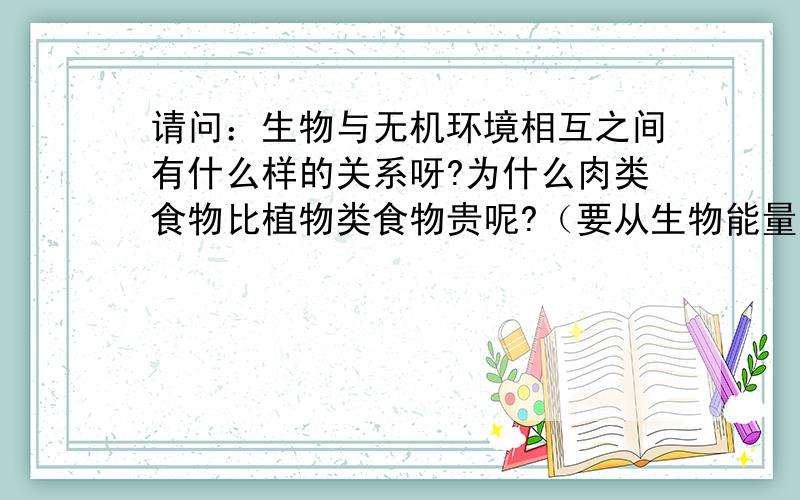 请问：生物与无机环境相互之间有什么样的关系呀?为什么肉类食物比植物类食物贵呢?（要从生物能量流动的角度解答!）初级消费者