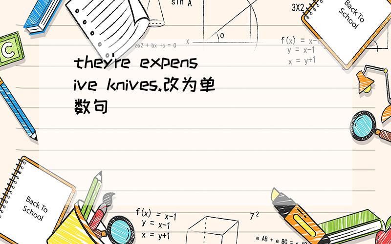 they're expensive knives.改为单数句