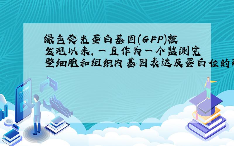 绿色荧光蛋白基因(GFP)被发现以来，一直作为一个监测完整细胞和组织内基因表达及蛋白位的理想标记。请根据图表回答下列问题