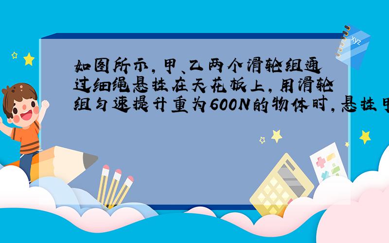 如图所示，甲、乙两个滑轮组通过细绳悬挂在天花板上，用滑轮组匀速提升重为600N的物体时，悬挂甲、乙两滑轮组的细绳所受的拉