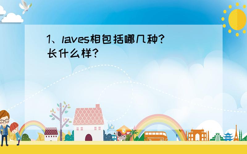 1、laves相包括哪几种?长什么样?