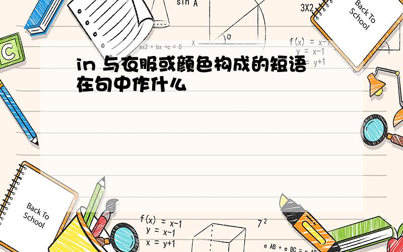 in 与衣服或颜色构成的短语在句中作什么