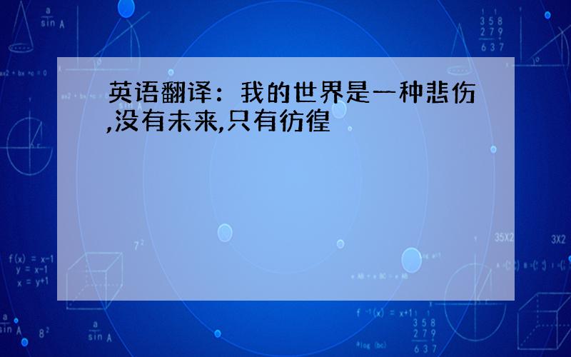 英语翻译：我的世界是一种悲伤,没有未来,只有彷徨