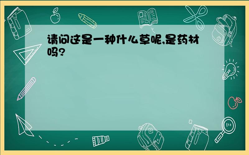 请问这是一种什么草呢,是药材吗?