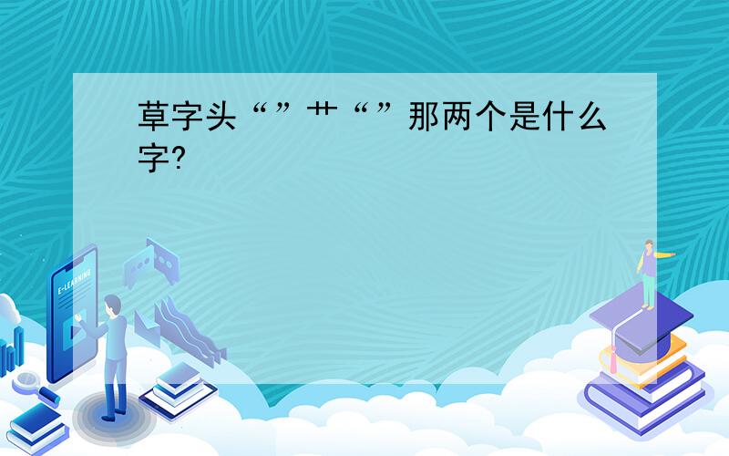 草字头“”艹“”那两个是什么字?