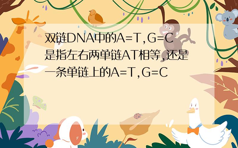 双链DNA中的A=T,G=C是指左右两单链AT相等,还是一条单链上的A=T,G=C