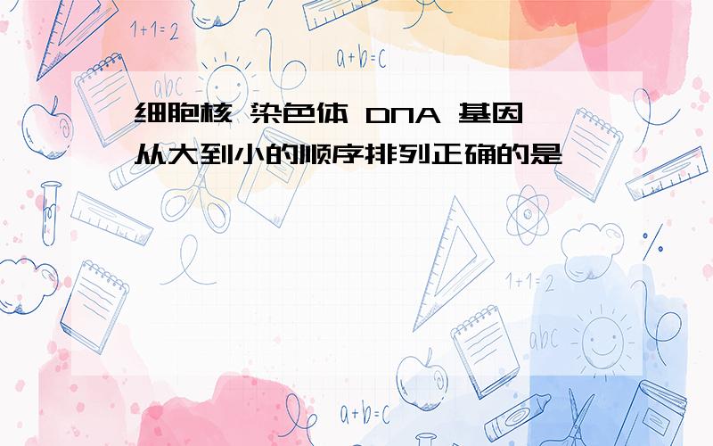 细胞核 染色体 DNA 基因从大到小的顺序排列正确的是