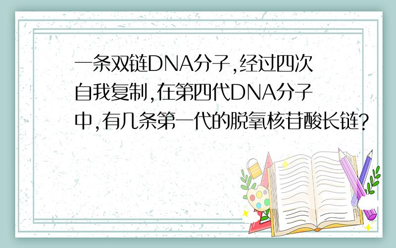 一条双链DNA分子,经过四次自我复制,在第四代DNA分子中,有几条第一代的脱氧核苷酸长链?