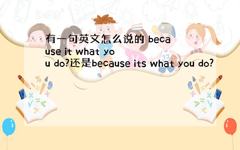 有一句英文怎么说的 because it what you do?还是because its what you do?