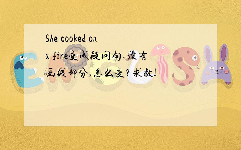 She cooked on a fire变成疑问句,没有画线部分,怎么变?求救!