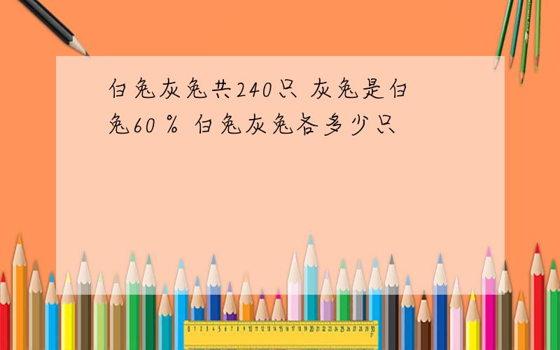 白兔灰兔共240只 灰兔是白兔60％ 白兔灰兔各多少只