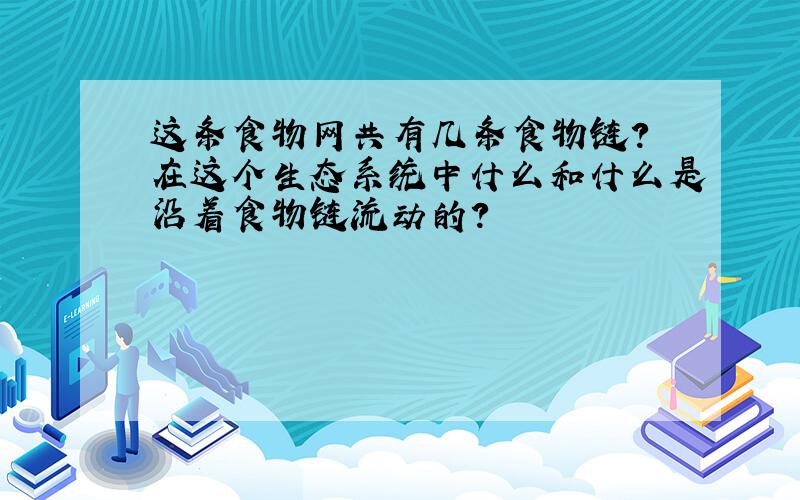 这条食物网共有几条食物链? 在这个生态系统中什么和什么是沿着食物链流动的?