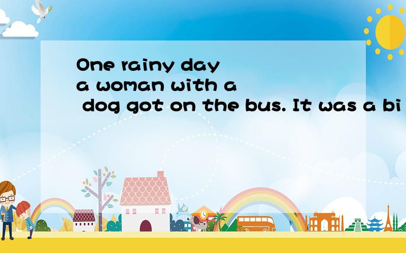 One rainy day a woman with a dog got on the bus. It was a bi