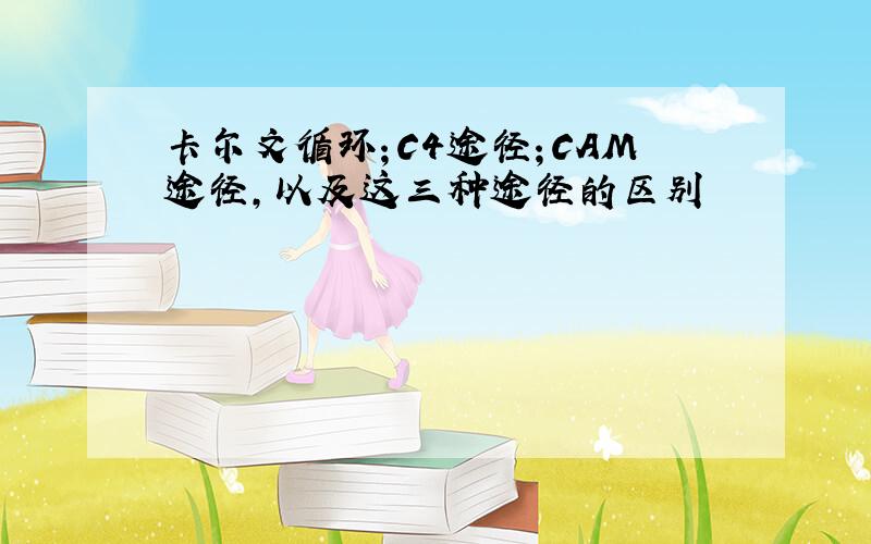 卡尔文循环；C4途径；CAM途径,以及这三种途径的区别