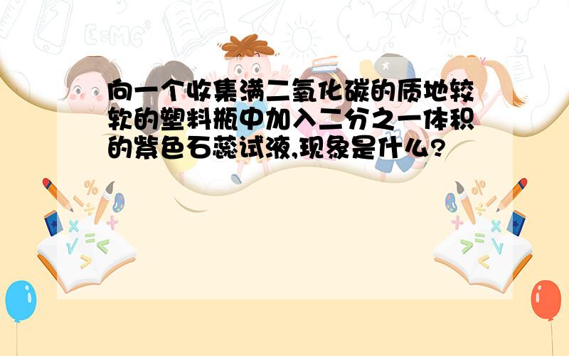 向一个收集满二氧化碳的质地较软的塑料瓶中加入二分之一体积的紫色石蕊试液,现象是什么?