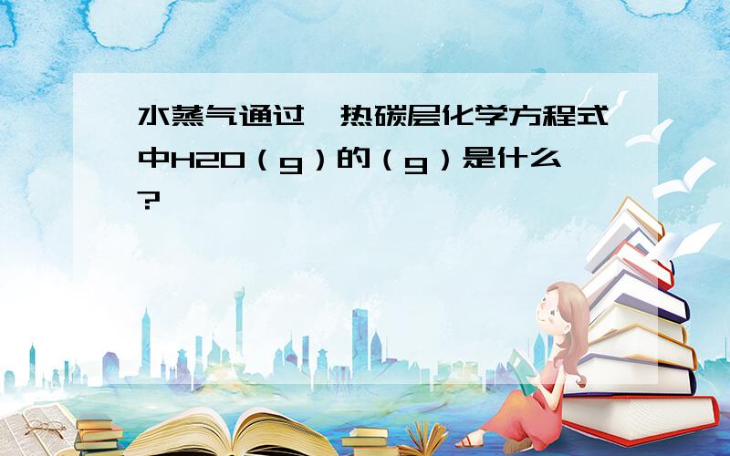 水蒸气通过炽热碳层化学方程式中H2O（g）的（g）是什么?