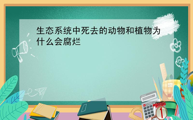 生态系统中死去的动物和植物为什么会腐烂