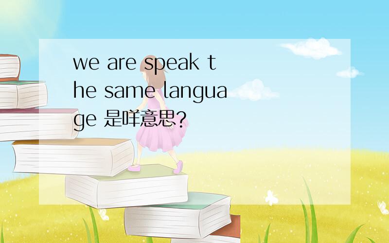 we are speak the same language 是咩意思?