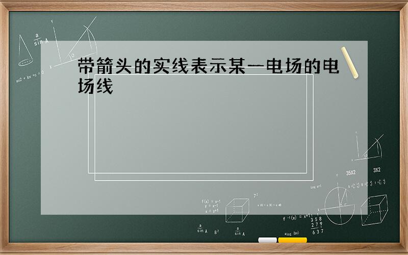 带箭头的实线表示某一电场的电场线