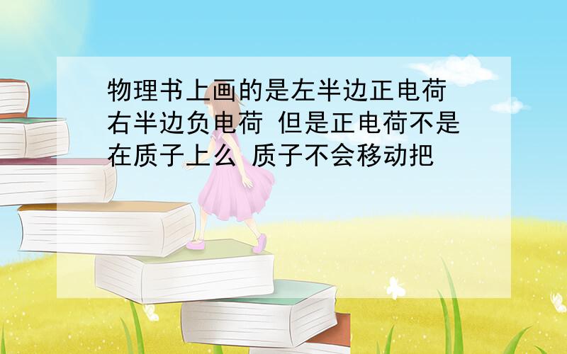 物理书上画的是左半边正电荷 右半边负电荷 但是正电荷不是在质子上么 质子不会移动把