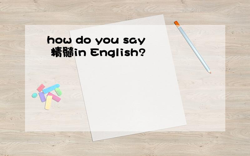 how do you say 精髓in English?