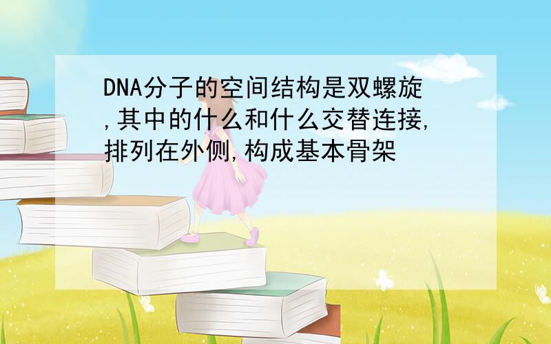 DNA分子的空间结构是双螺旋,其中的什么和什么交替连接,排列在外侧,构成基本骨架