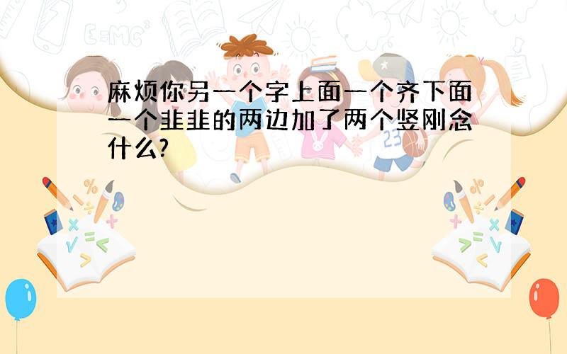 麻烦你另一个字上面一个齐下面一个韭韭的两边加了两个竖刚念什么?