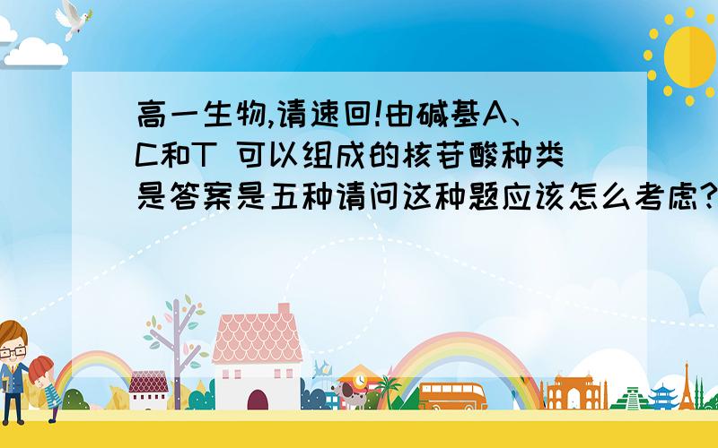 高一生物,请速回!由碱基A、C和T 可以组成的核苷酸种类是答案是五种请问这种题应该怎么考虑?