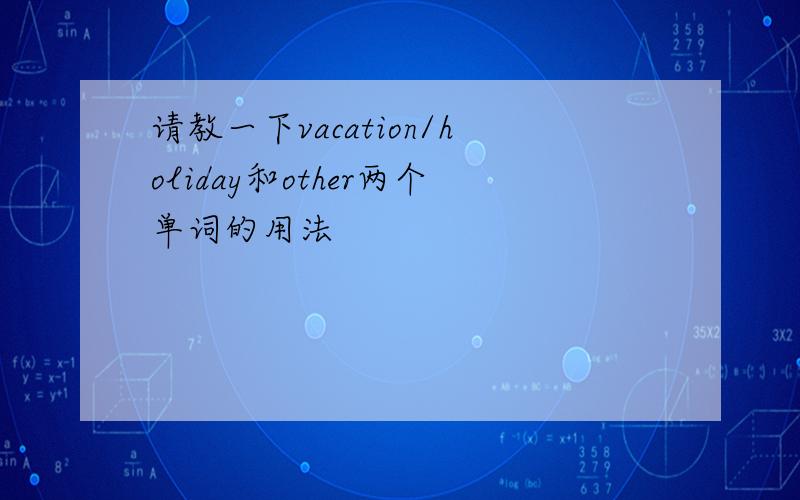 请教一下vacation/holiday和other两个单词的用法