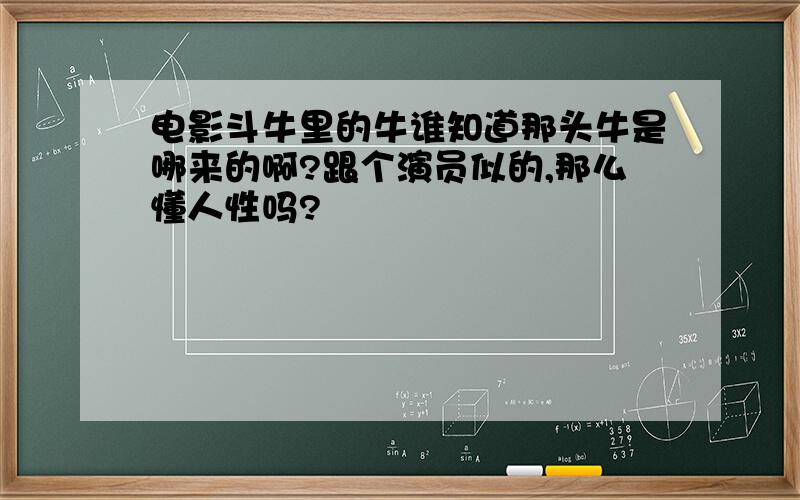 电影斗牛里的牛谁知道那头牛是哪来的啊?跟个演员似的,那么懂人性吗?