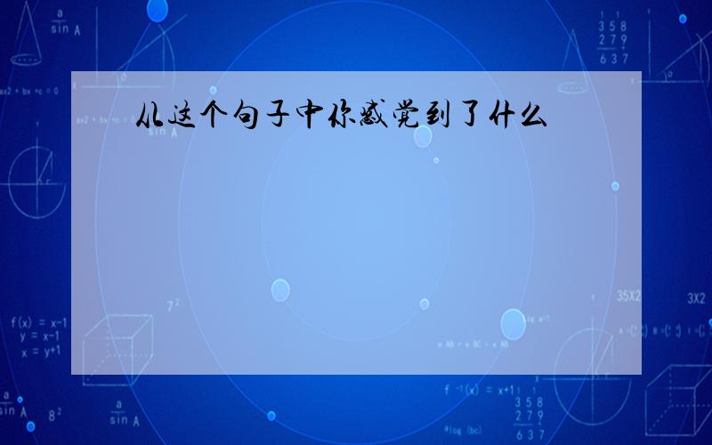 从这个句子中你感觉到了什么