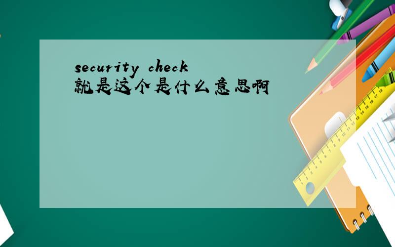 security check就是这个是什么意思啊