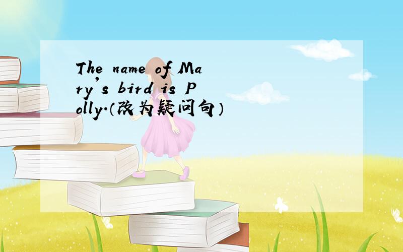 The name of Mary's bird is Polly.（改为疑问句）