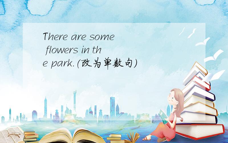 There are some flowers in the park.(改为单数句)