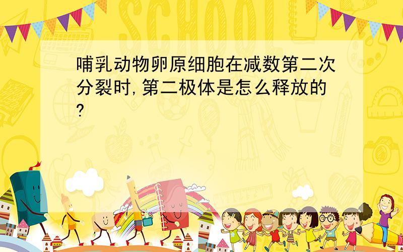 哺乳动物卵原细胞在减数第二次分裂时,第二极体是怎么释放的?