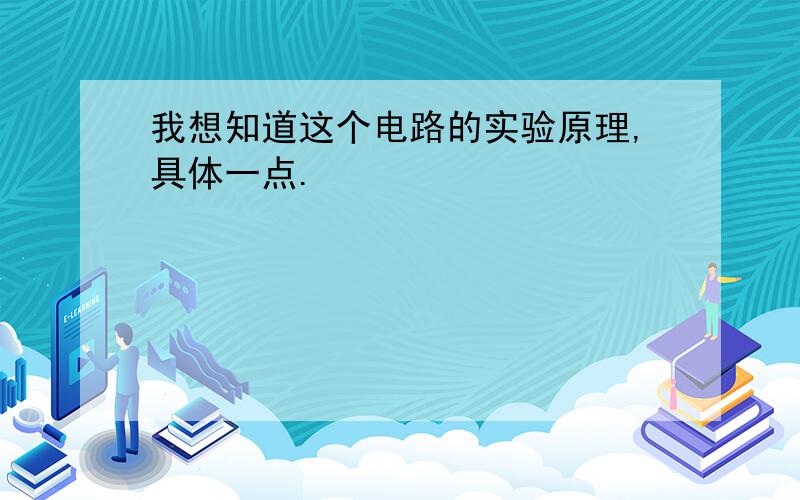 我想知道这个电路的实验原理,具体一点.