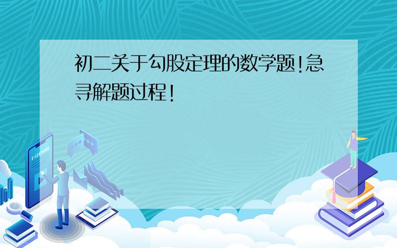 初二关于勾股定理的数学题!急寻解题过程!