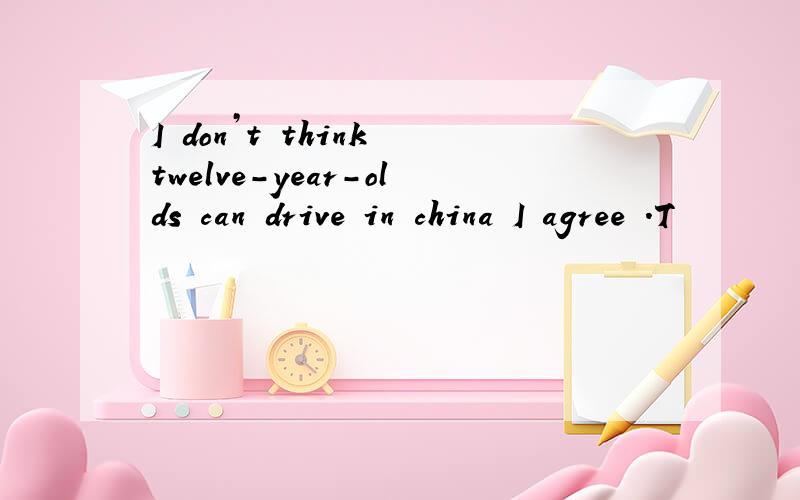 I don’t think twelve-year-olds can drive in china I agree .T